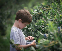 Brambleberry Farm