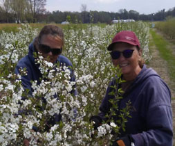 Brambleberry Farm