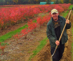 Brambleberry Farm