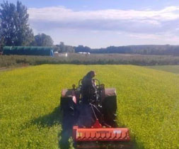 Brambleberry Farm