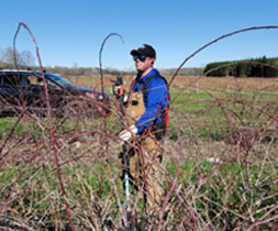 Brambleberry Farm